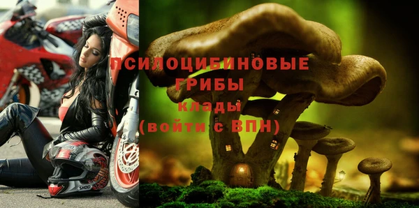 герыч Алзамай