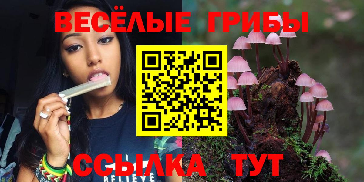 Галлюциногенные грибы Cubensis  Псилоцибиновые грибы Psilocybe  Вход с VPN  Энгельс 