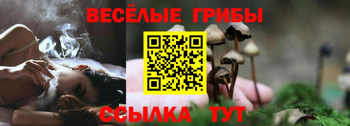 Псилоцибиновые грибы ЛСД Энгельс