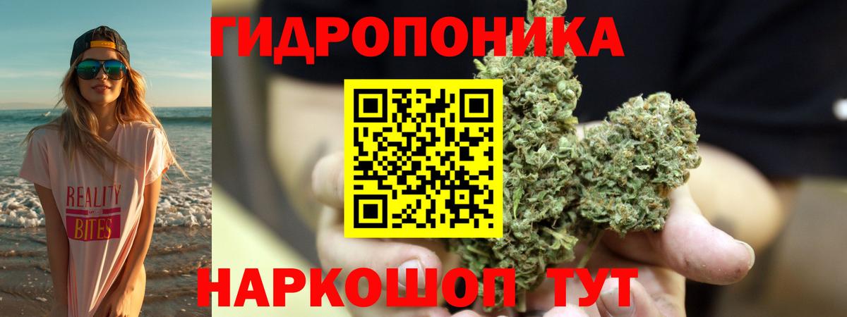 Каннабис конопля Энгельс